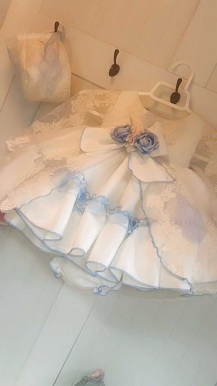 Samantha Sheer Sleeve Dress